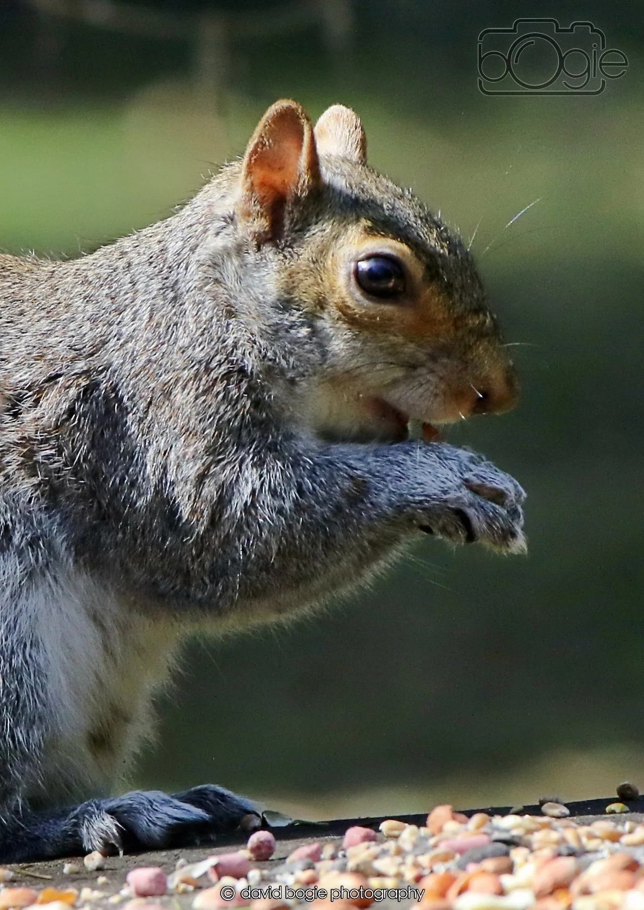 20260402 122816 Ravenscraig 0356.jpg