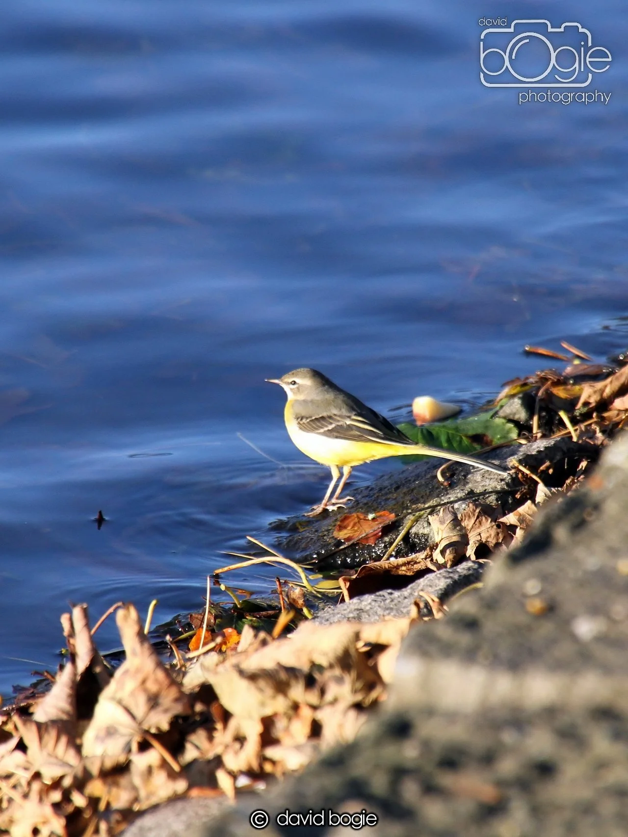 20231022  Beveridge Park  163032 0065.jpg