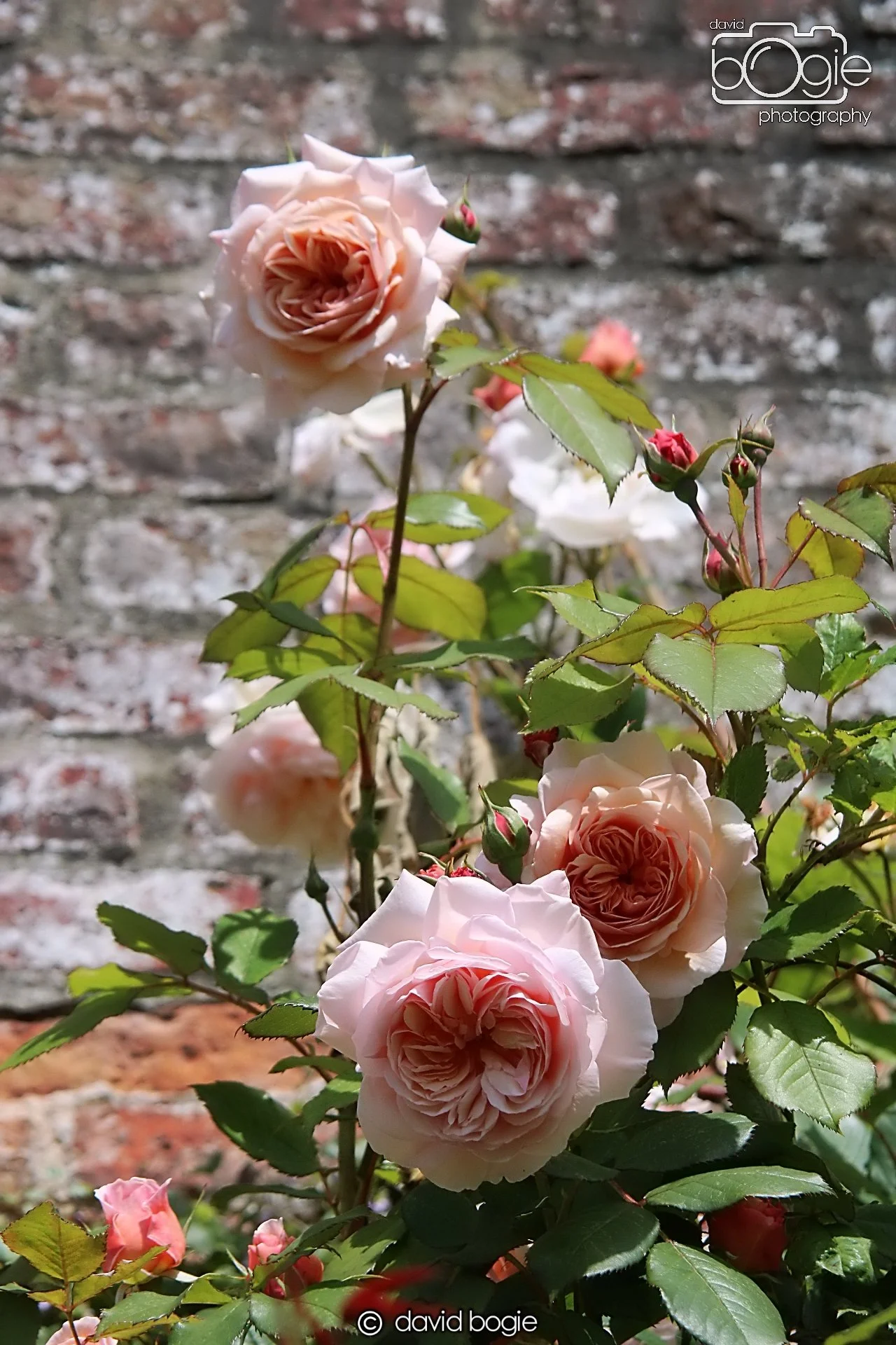 20210716 171918 Dunmore 0024  .JPG