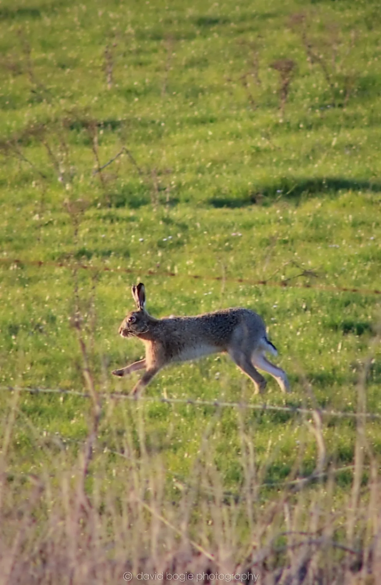 20190409 222024 Cardenden 0007.jpg