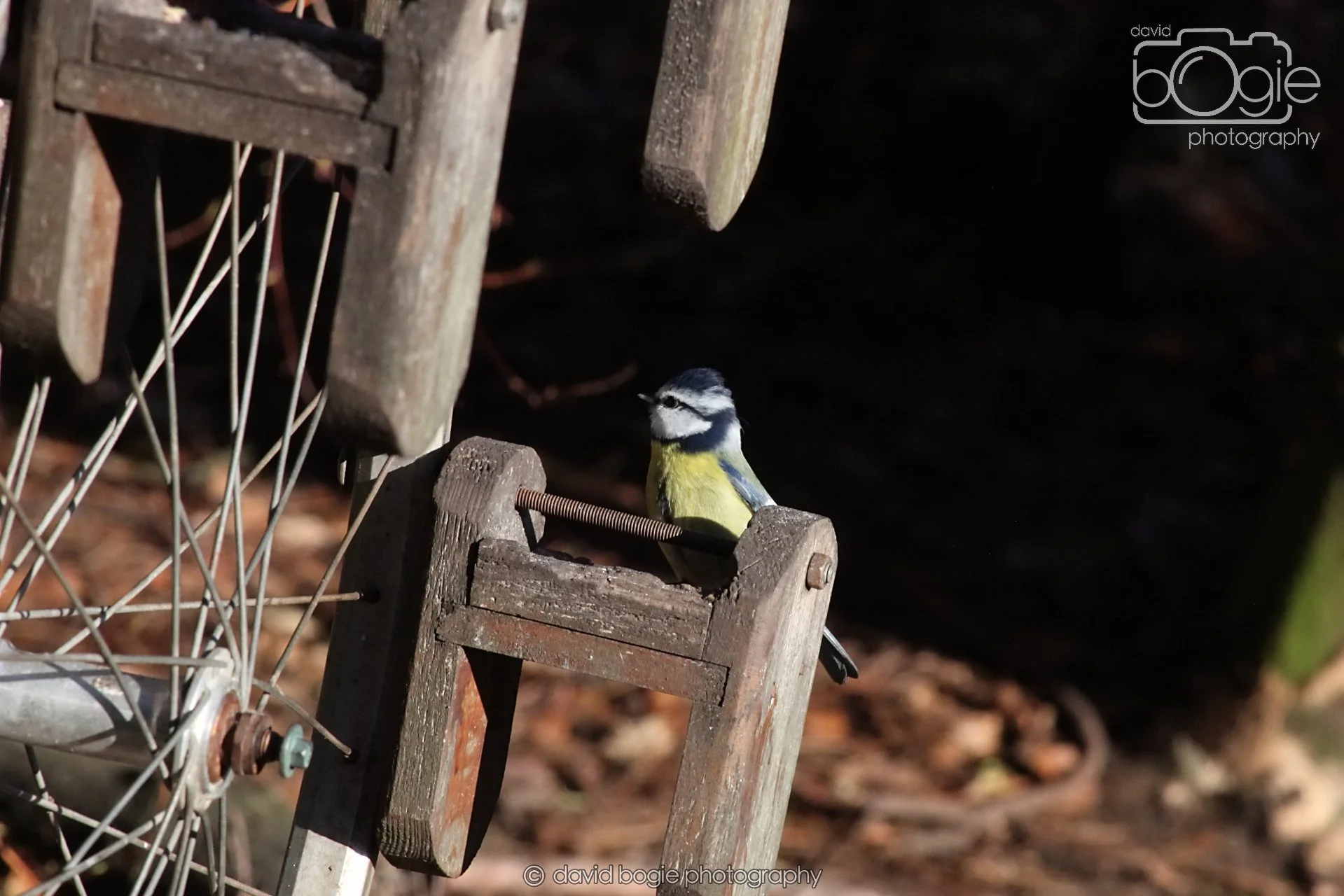 20251125 135509 Silverburn 0258.JPG