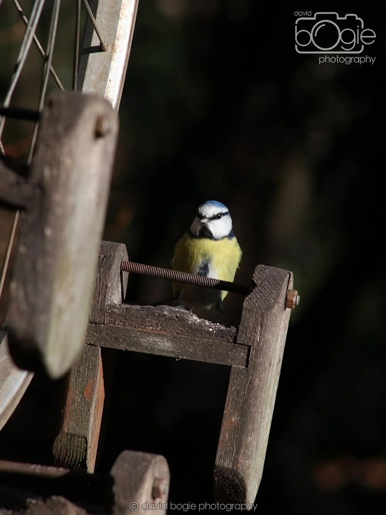 20251125 133941 Silverburn 0123.JPG