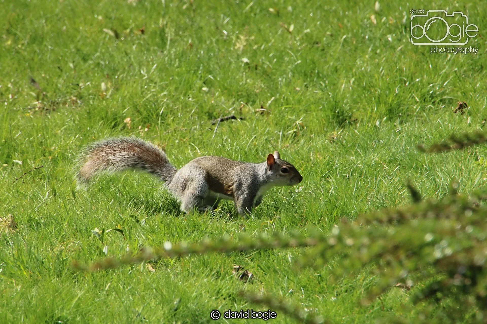 20240423 113252 Beveridge 0037.JPG