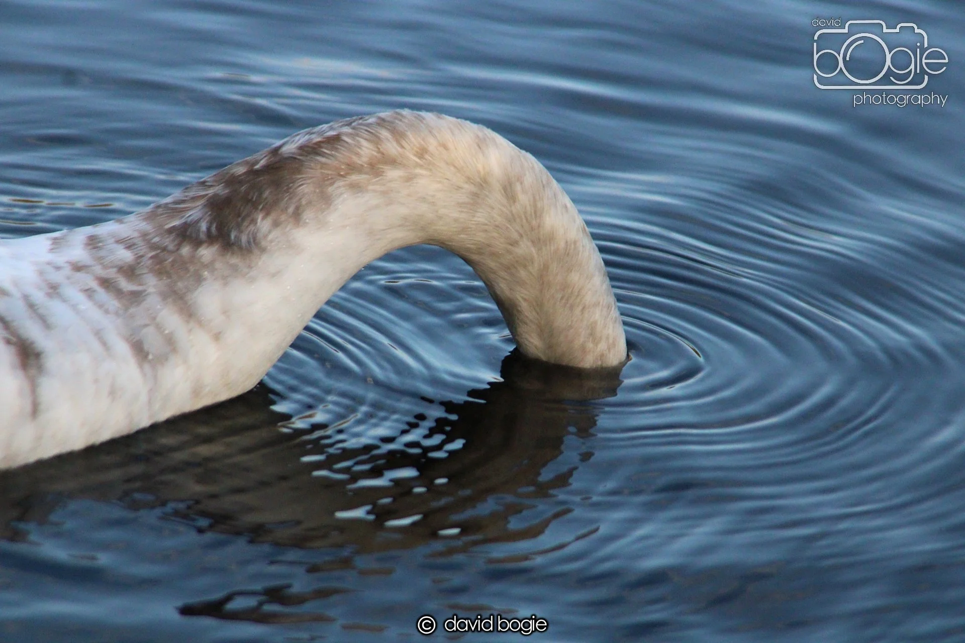 20220101 Beveridge Park 31 .JPG