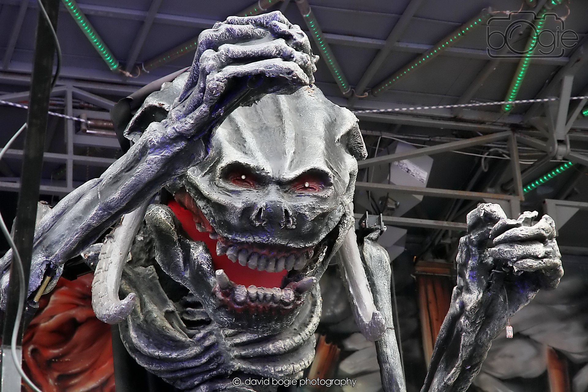 20260415 111113 Links Market 0111.jpg