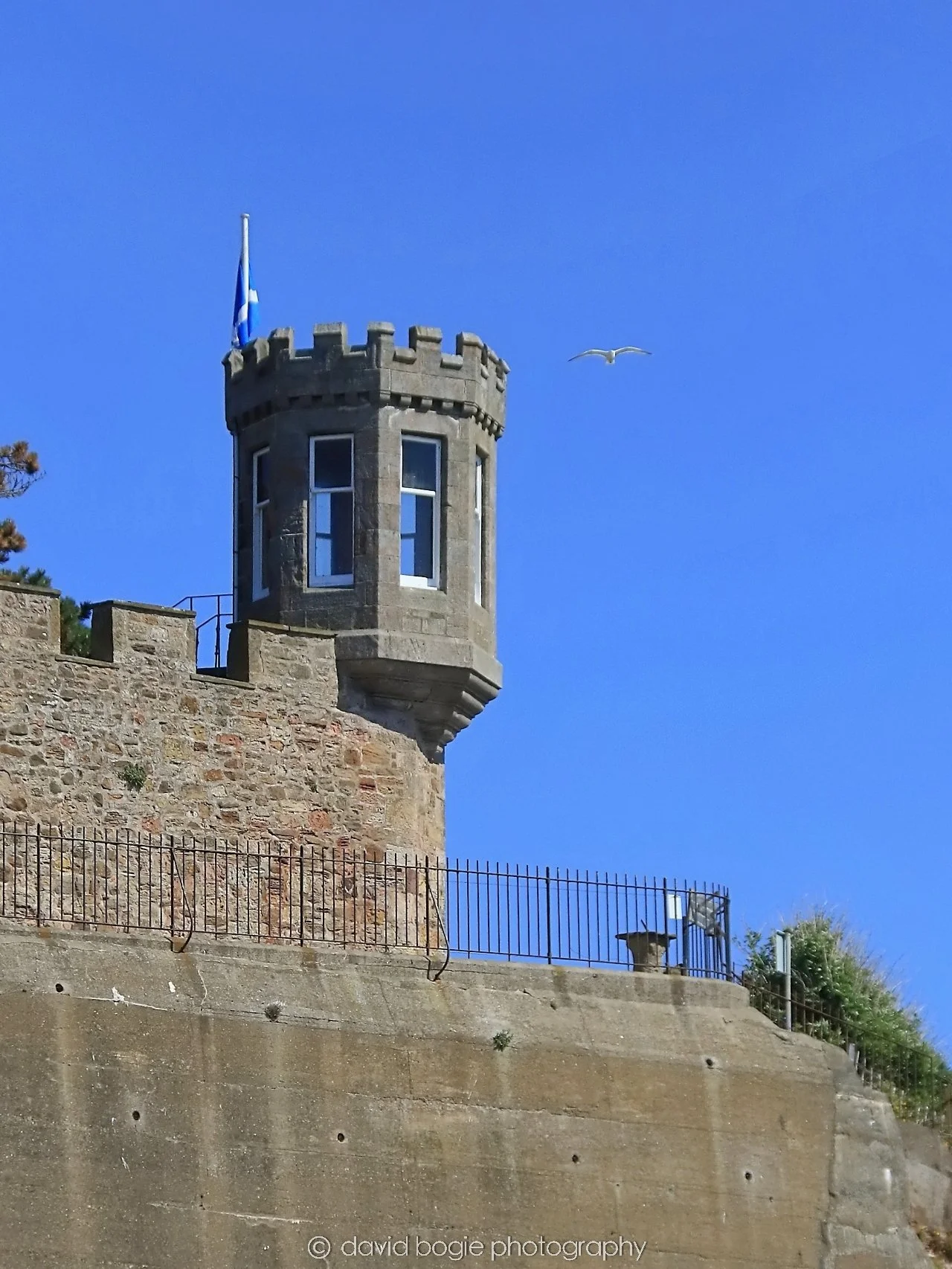 YEAR20250509 120706 Crail 0213.jpg