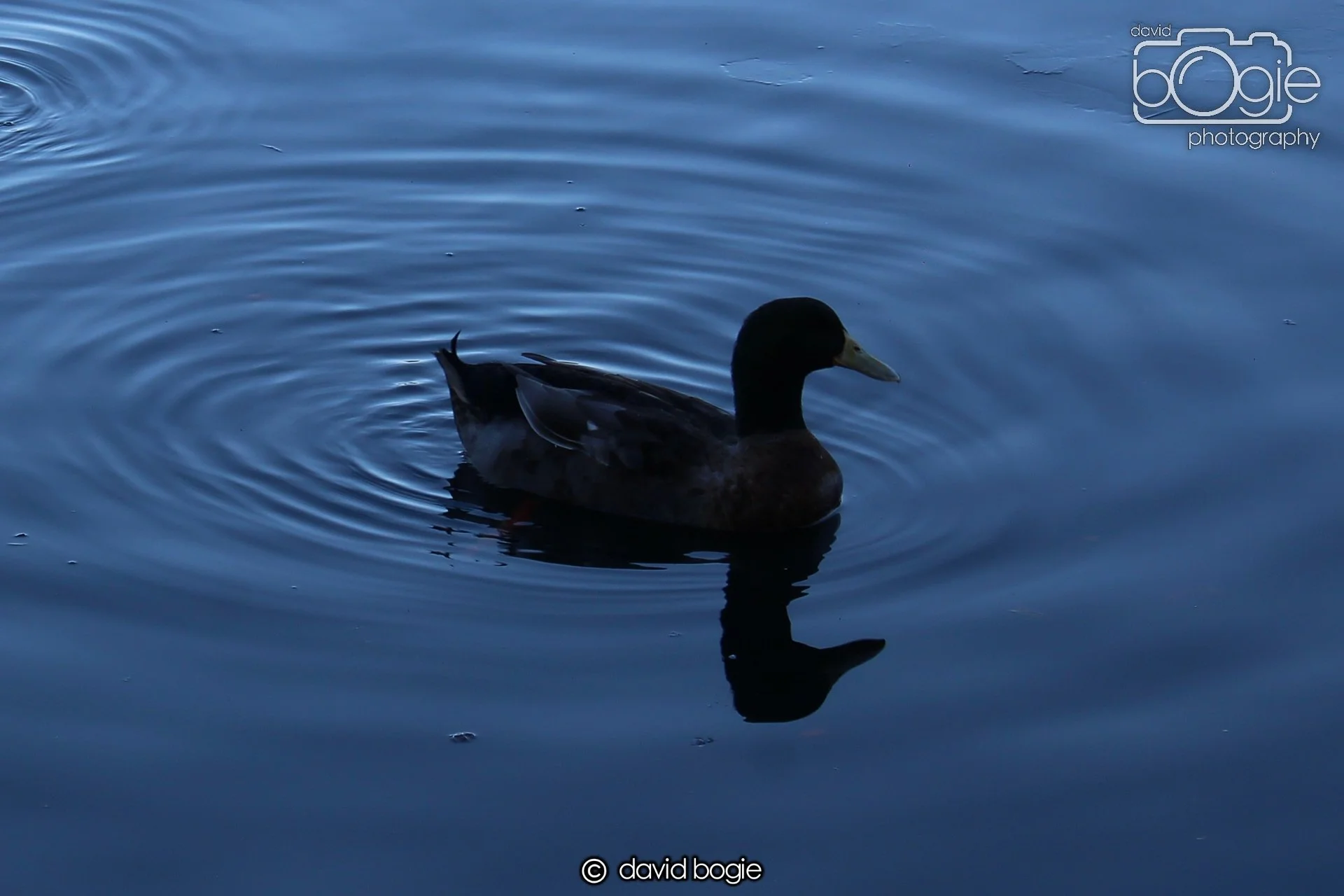 20191130 121947 Beveridge 0001.jpg