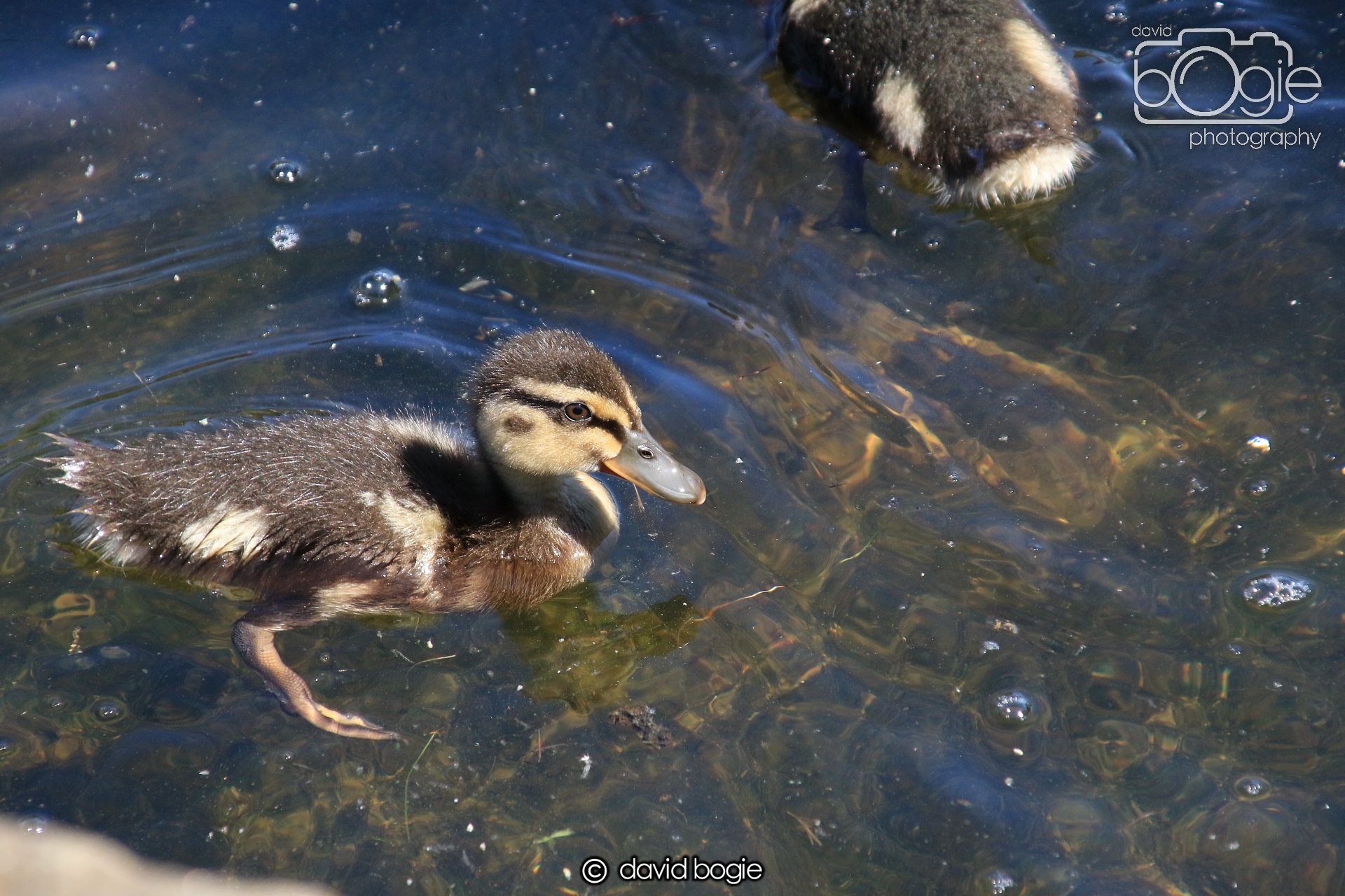 20250517 133323 Beveridge Park 0615.JPG