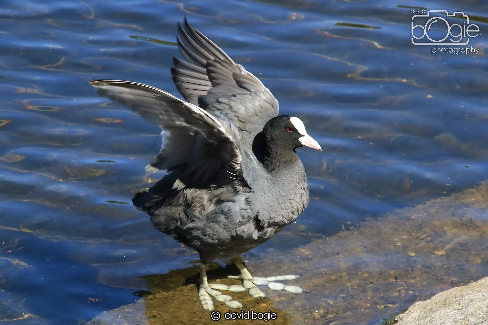 20250505 140640 Beveridge Park 1079.JPG