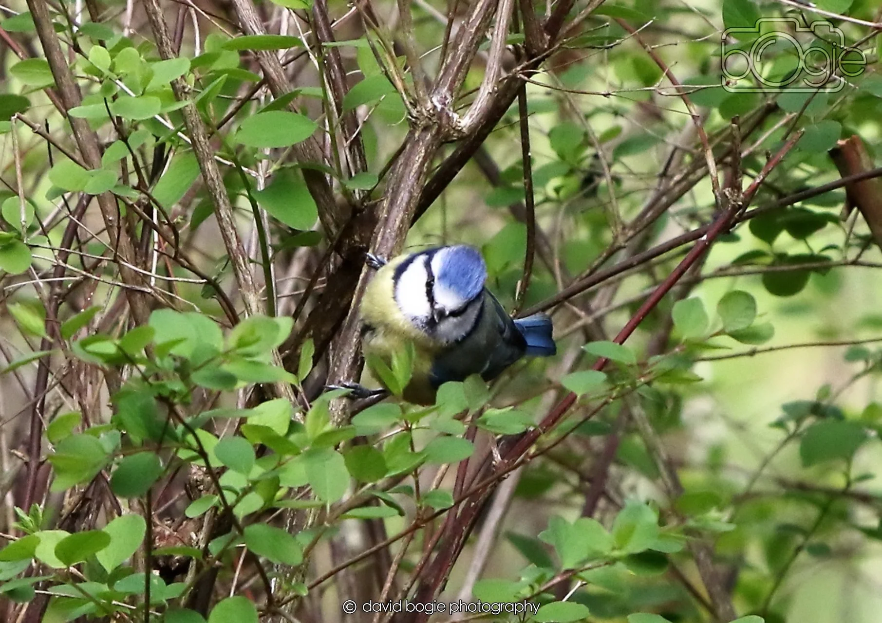 20260330 122055 Dunnikier 0417.jpg