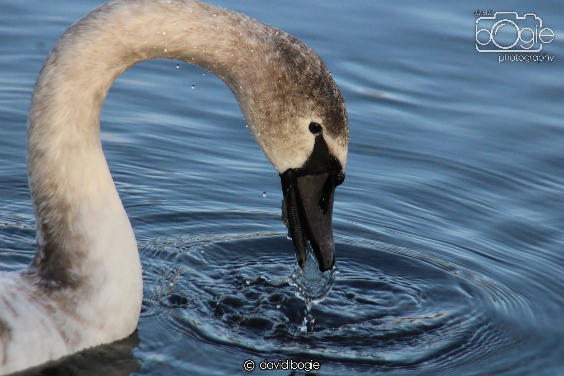 20220101 Beveridge Park 32 .JPG