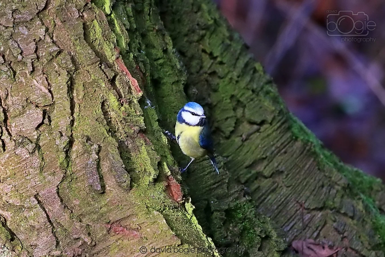 20260128 143719 Dunnikier 0426.jpg