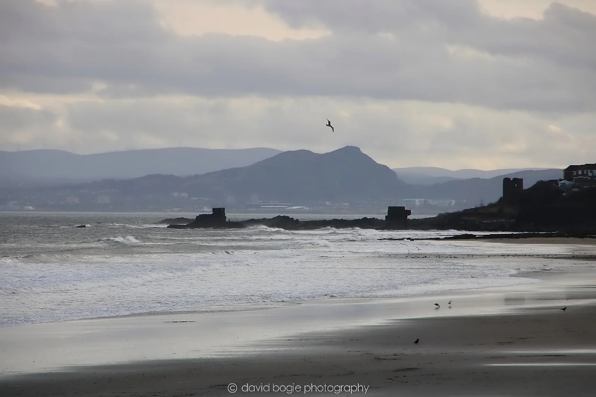 YEAR20240318 KIRKCALDY 0248.jpg