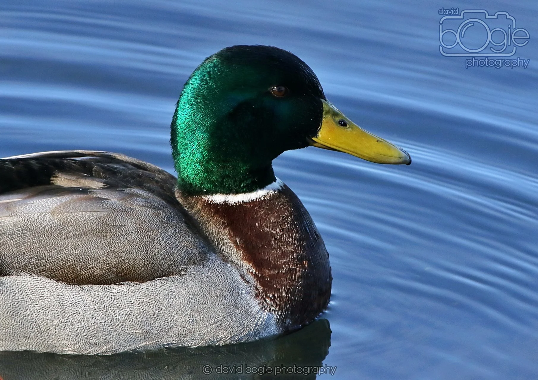 20260319 112939 Beveridge Park 0042.jpg