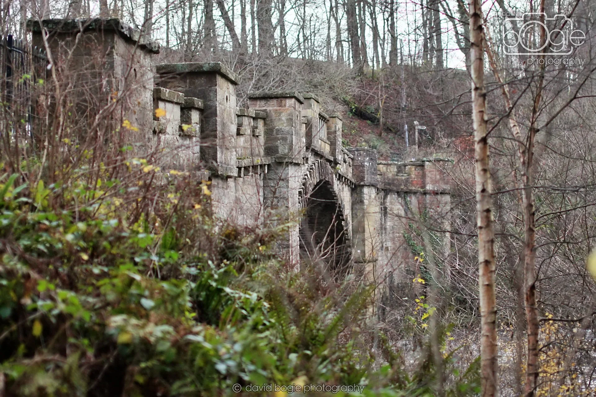 20251205 141203 East Calder 0107.JPG