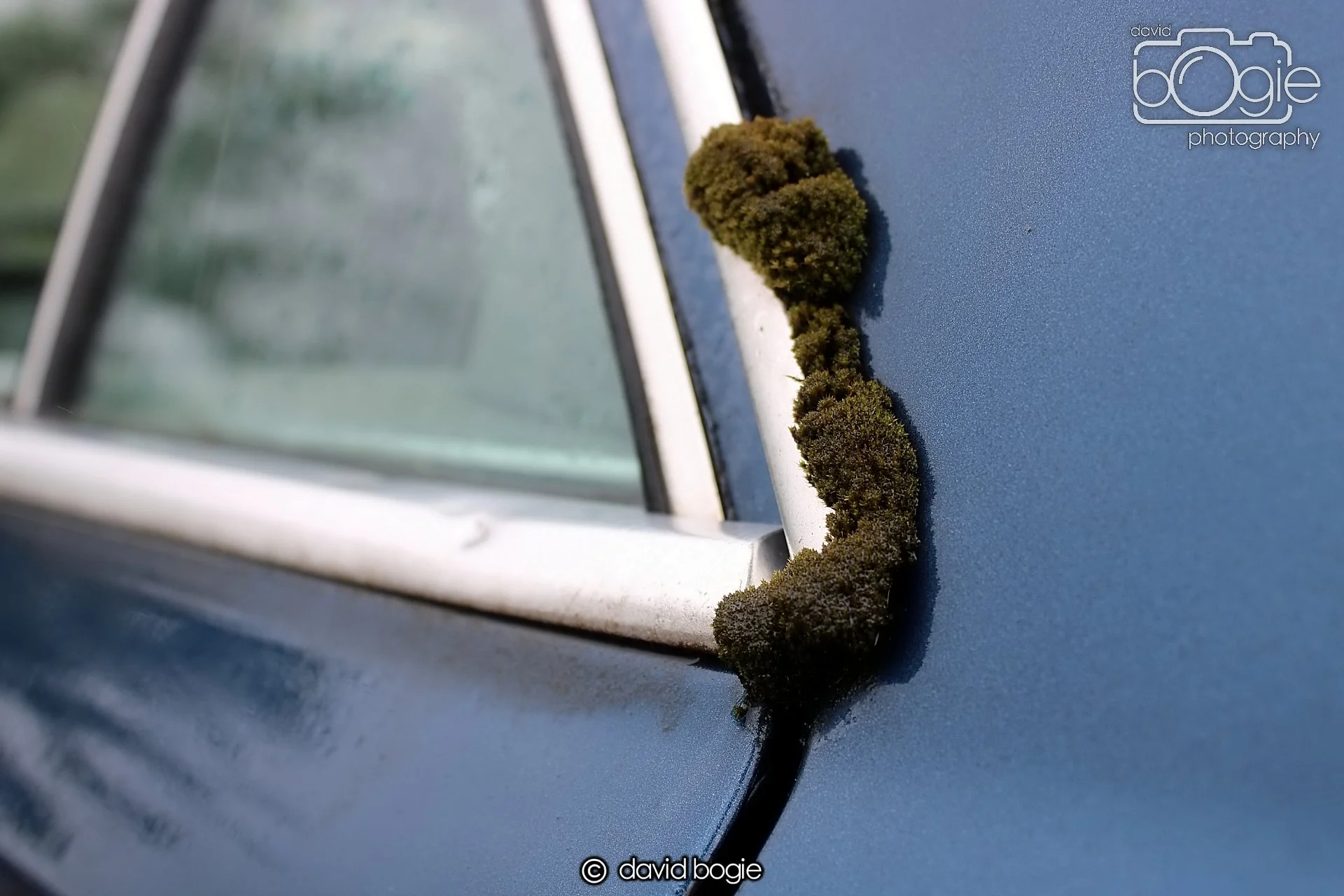 20200705 Reekies (11) 306 .jpg