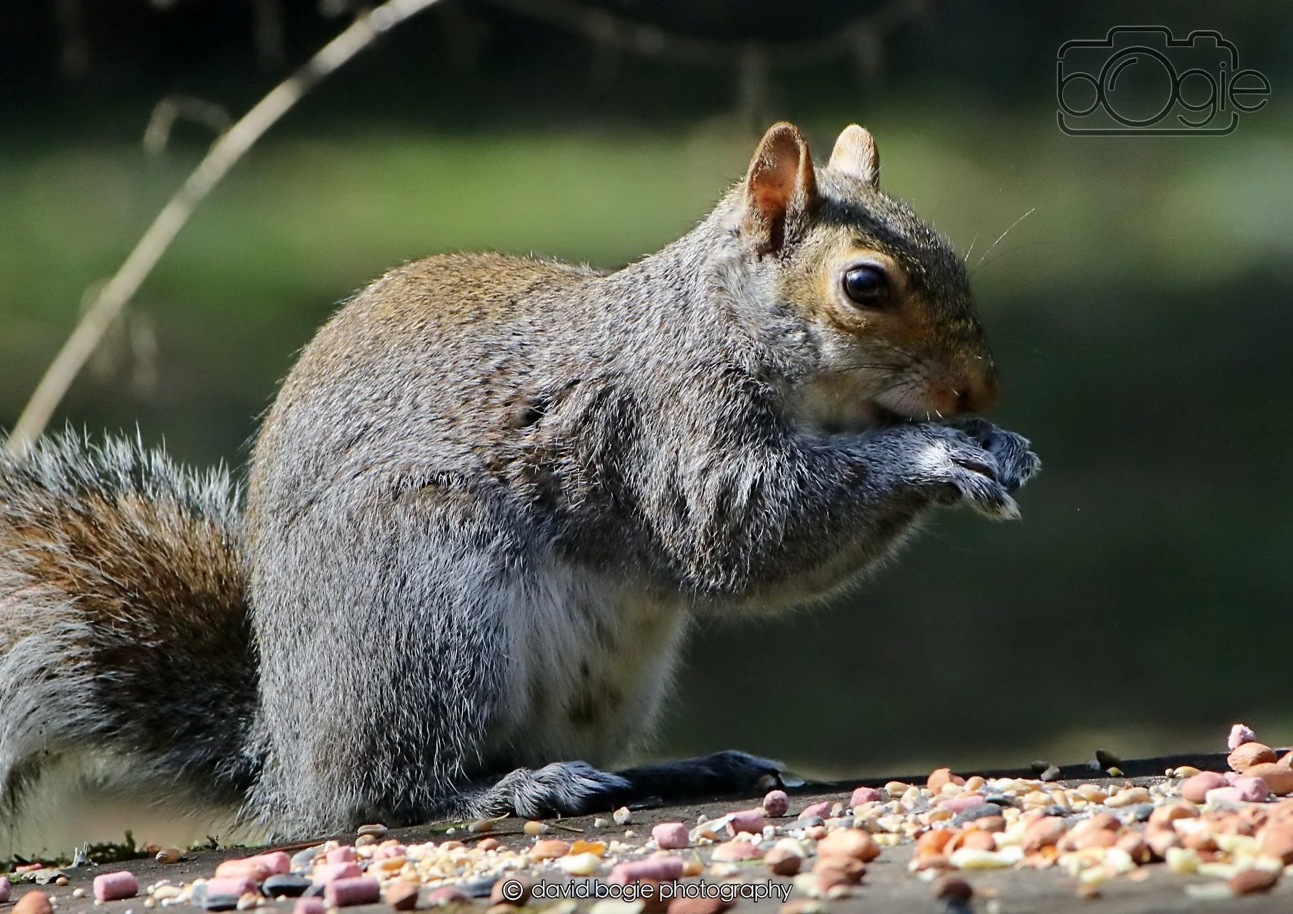 20260402 122808 Ravenscraig 0354.jpg