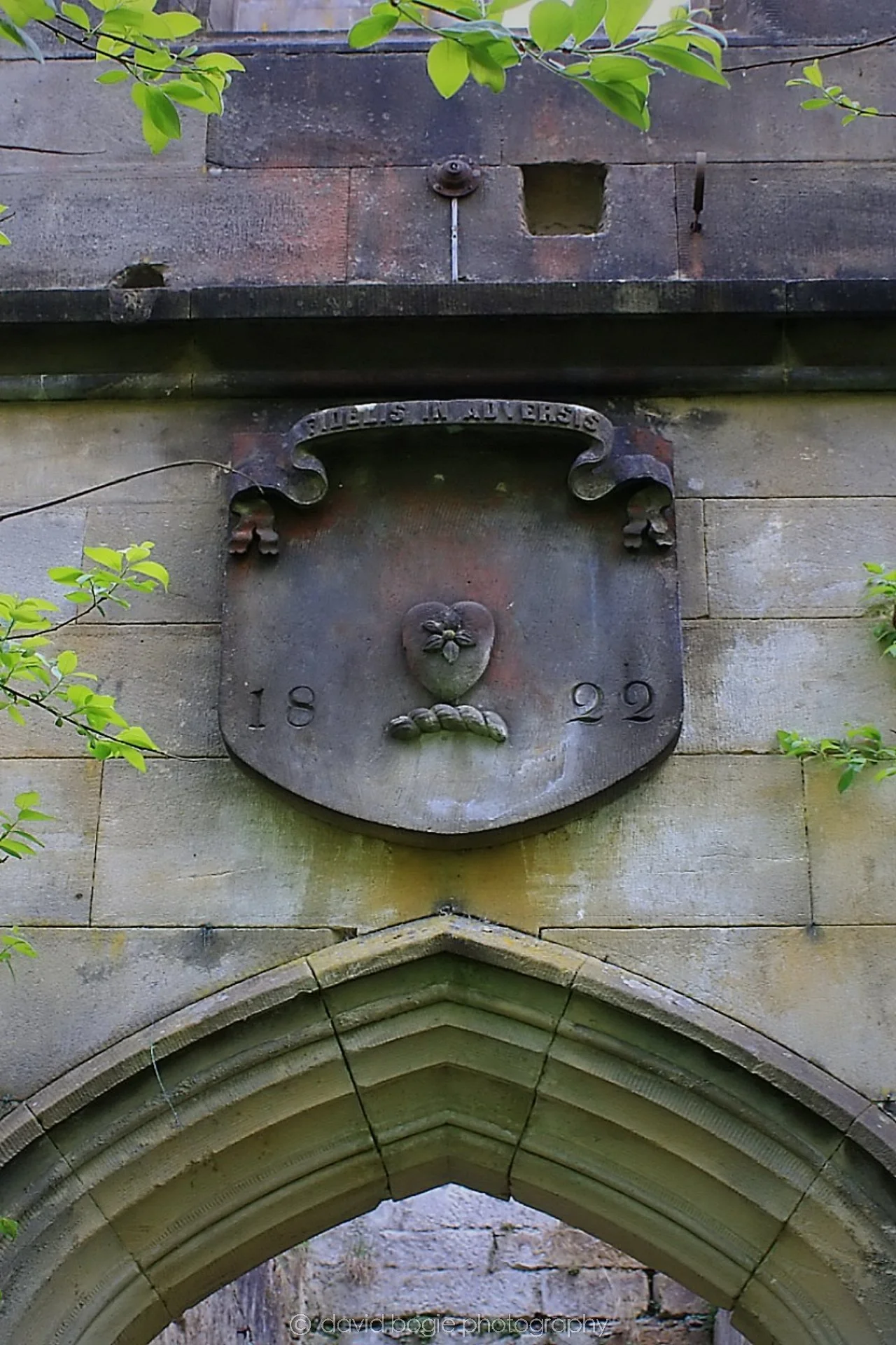 20190505 223526 Dunmore 0015  .jpg