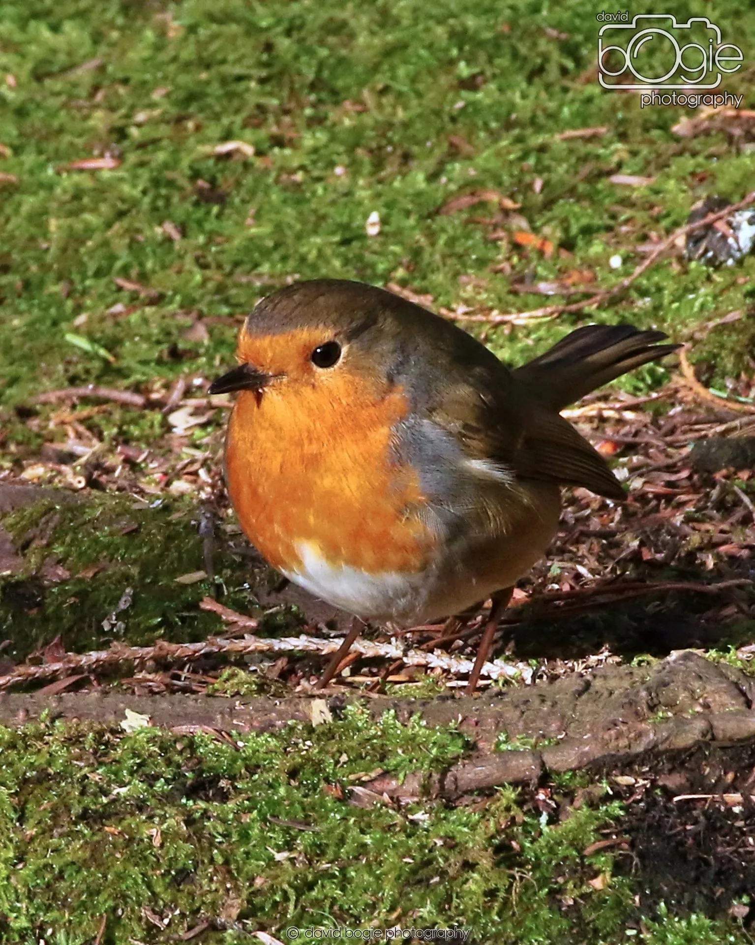 20260128 133741 Dunnikier 0212.JPG