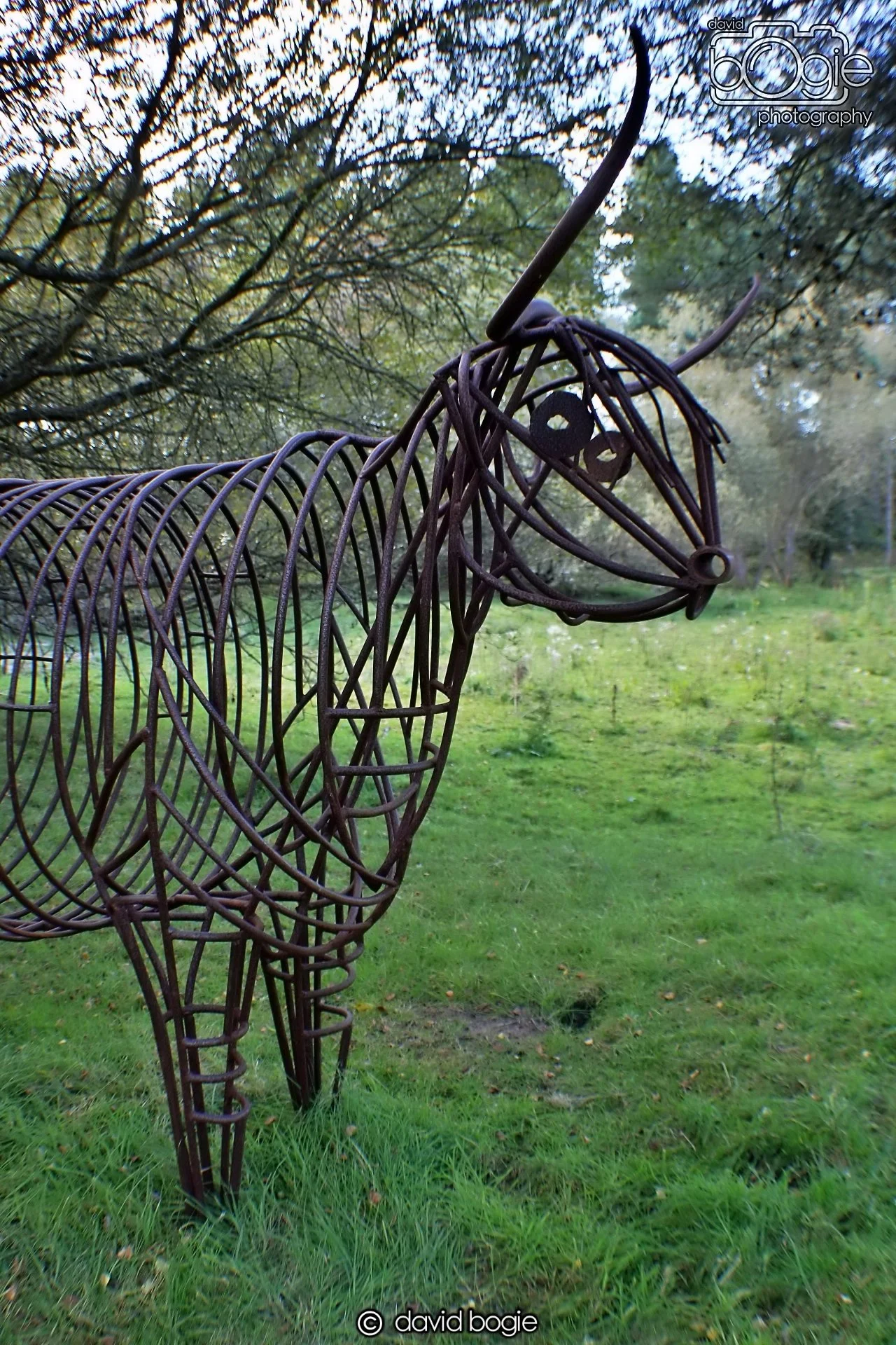 20191002 130929 Tentsmuir 0014.jpg