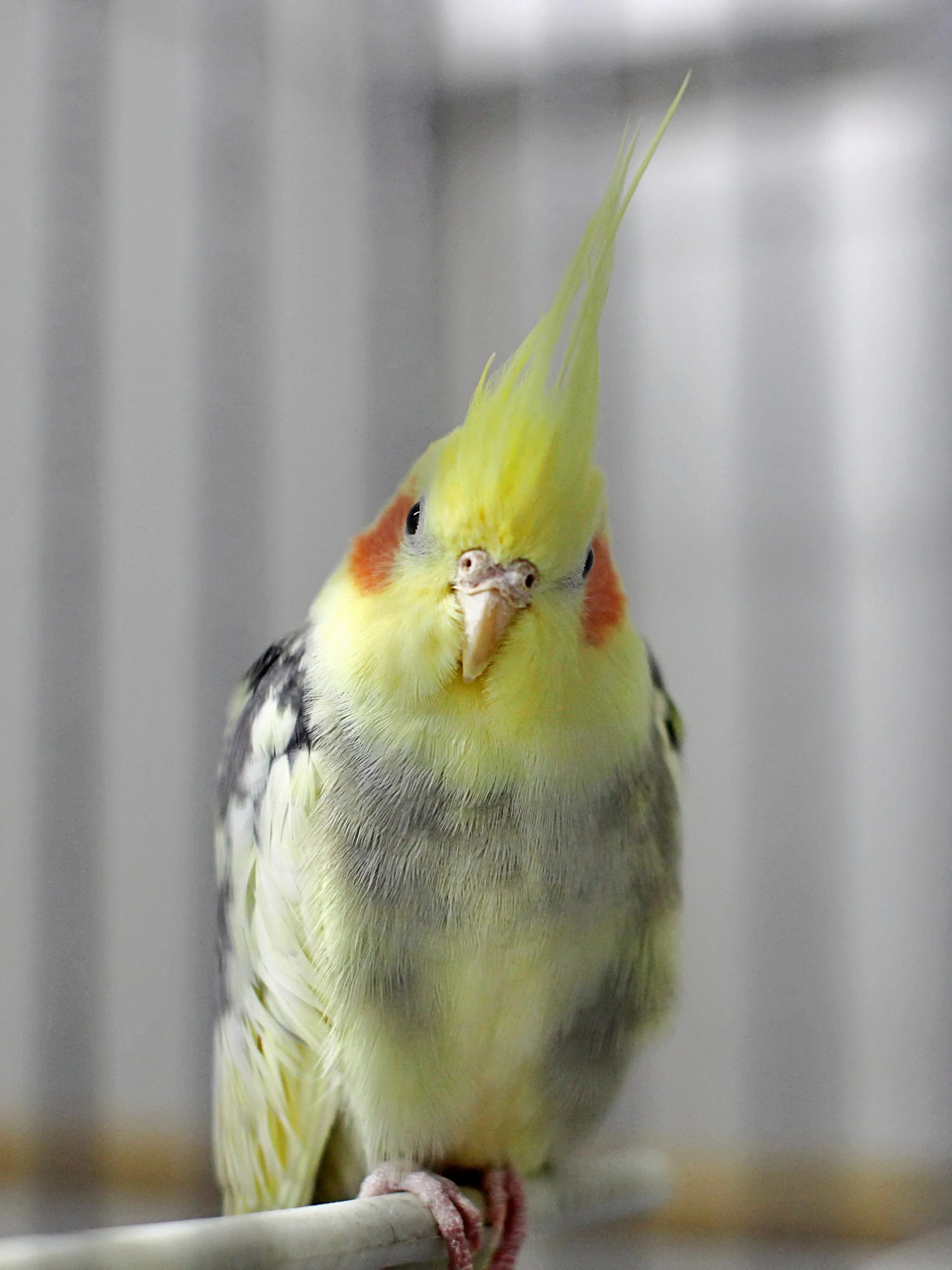 20251117 133317 IMG_0050.JPG