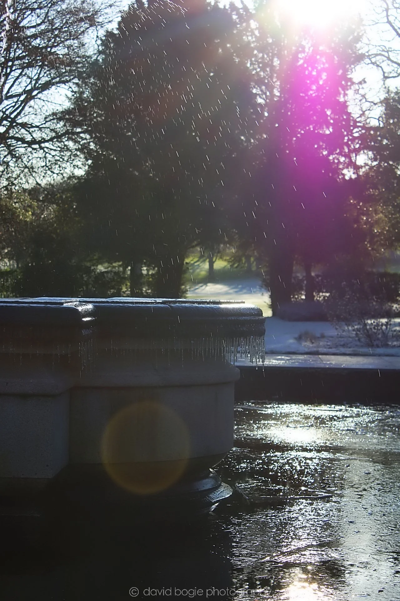 20191130 125415 Beveridge 0008.jpg