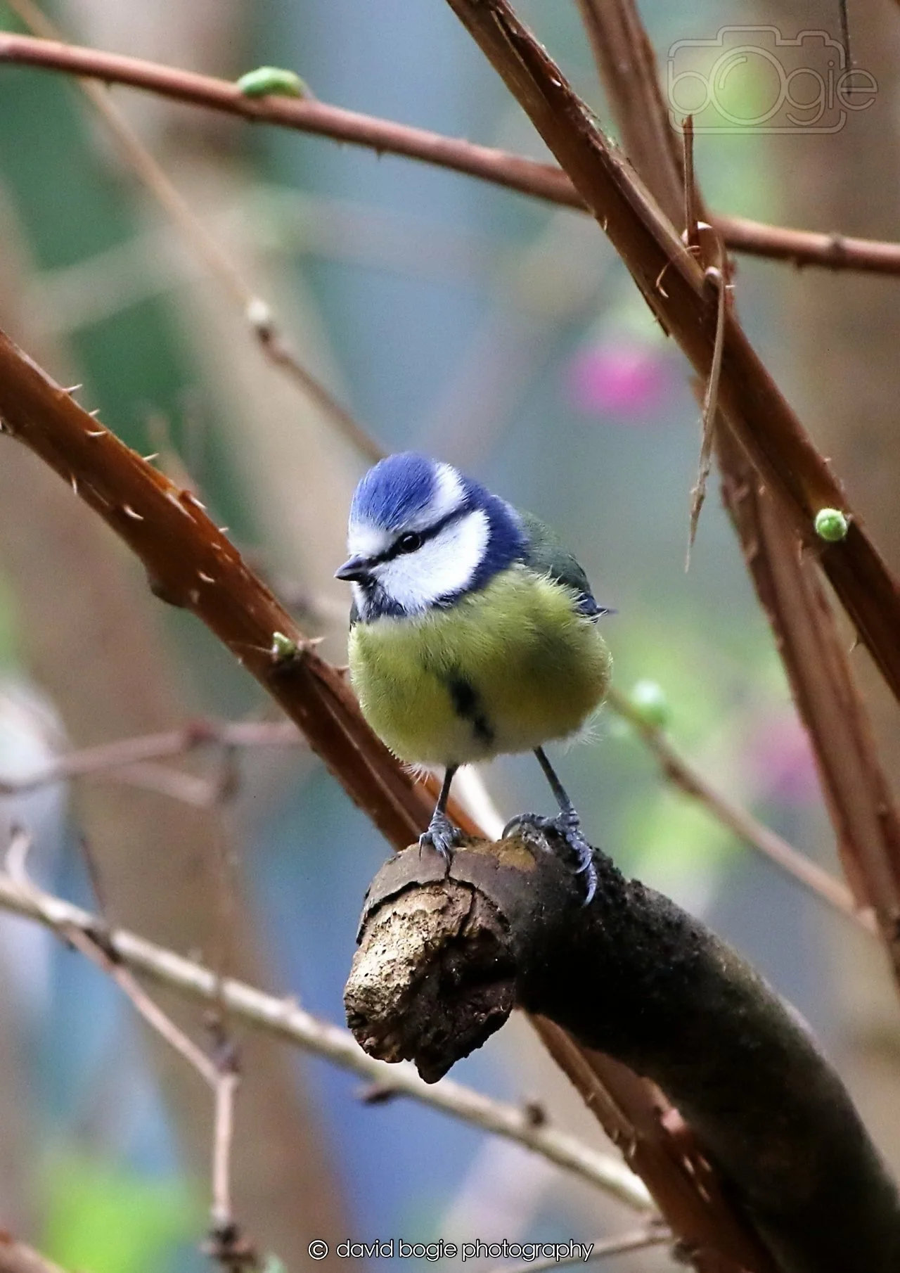 20260326 113333 Silverburn 0197.jpg