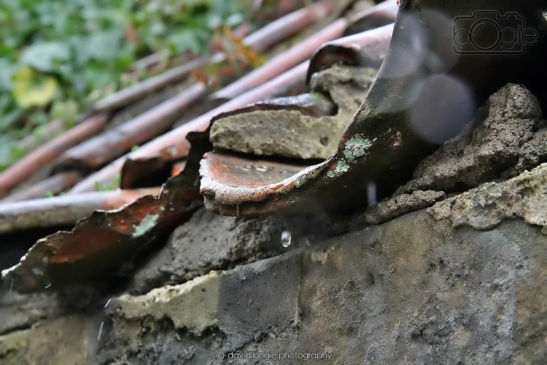 20260401 125559 Culross 0209.jpg