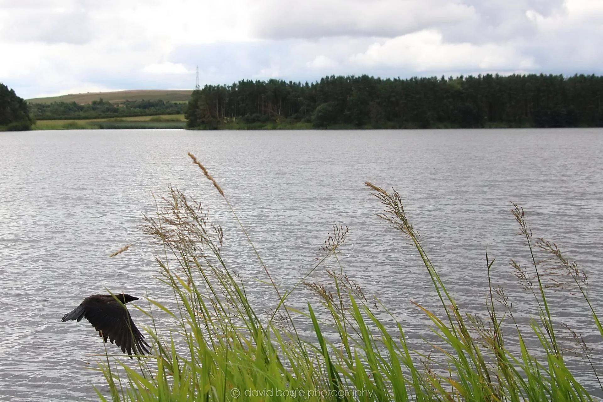 20210729 Lochore 11.jpg