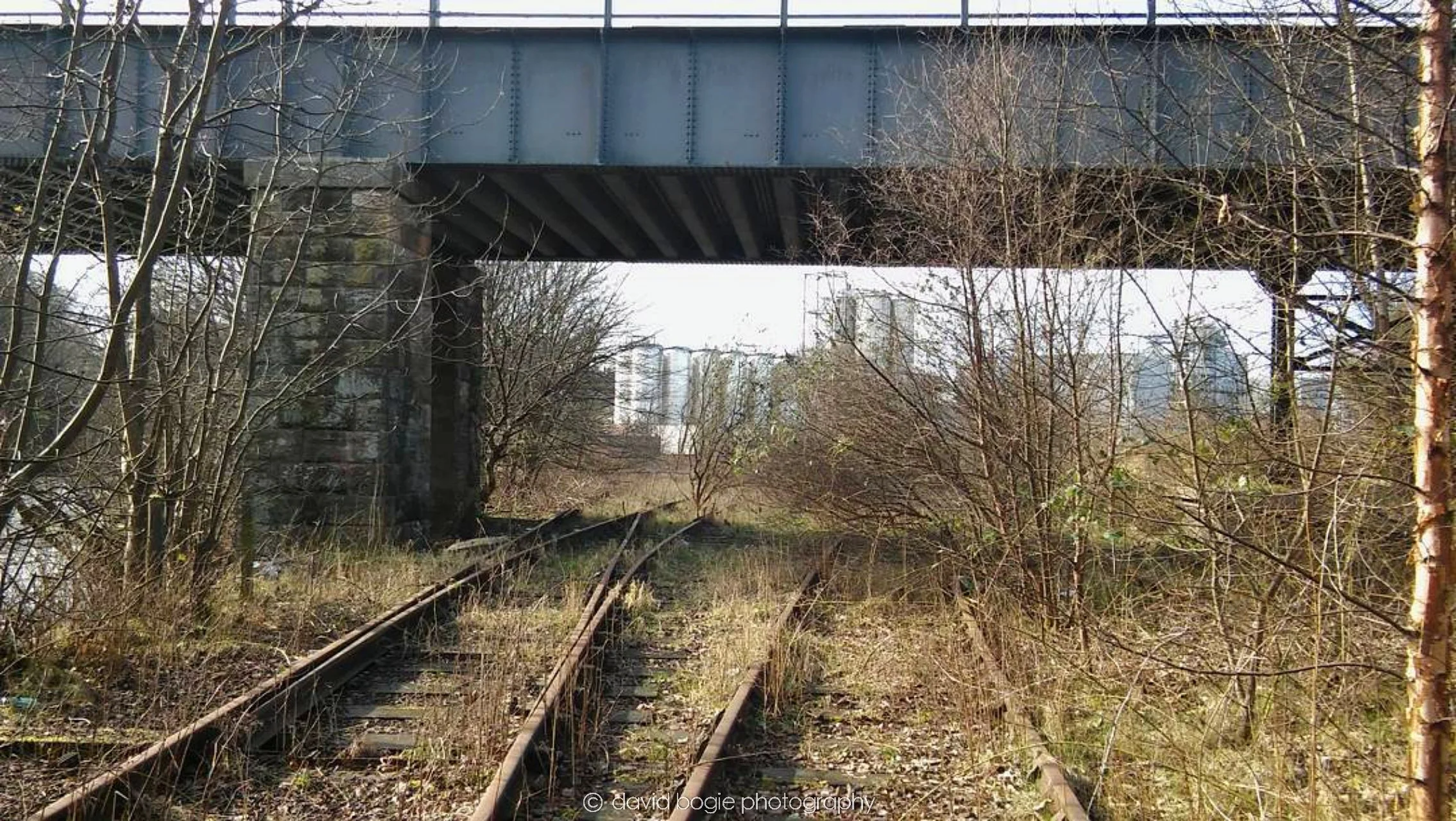 20170303 000000 Leven 0006.jpg
