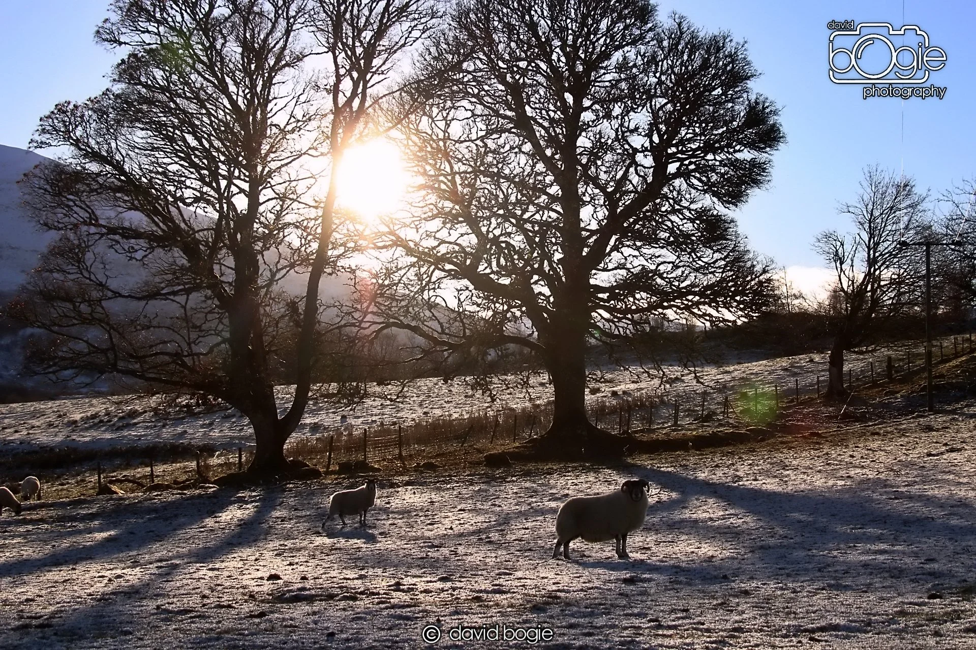 20221215 00261 Aberfeldy.JPG