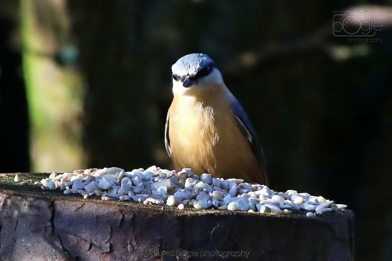 20260128 130142 Dunnikier 0133.jpg