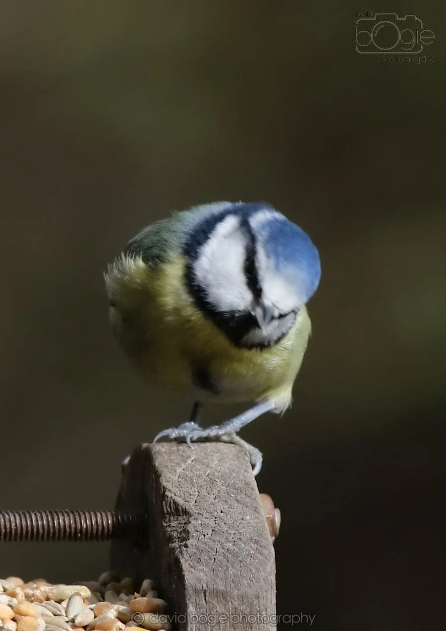 20260314 143724 Silverburn 0318.jpg