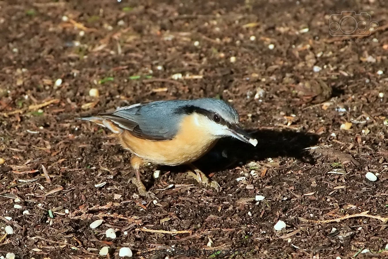 20260128 132730 Dunnikier 0188.jpg