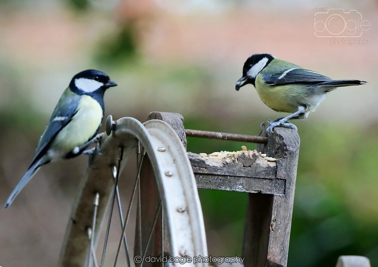 20260215 131510 Silverburn 0056.jpg