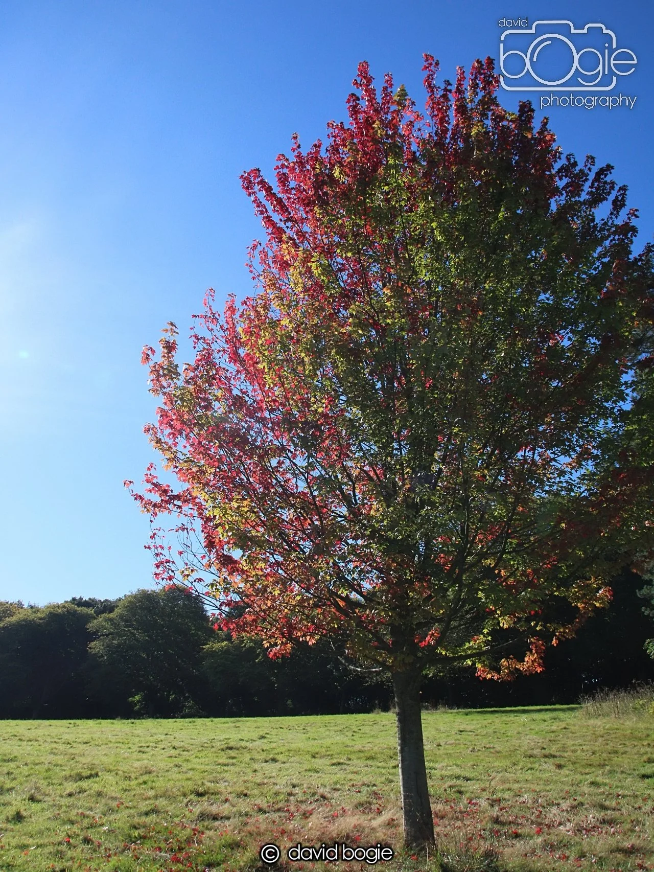 20240918 113155 Beveridge 0104.JPG