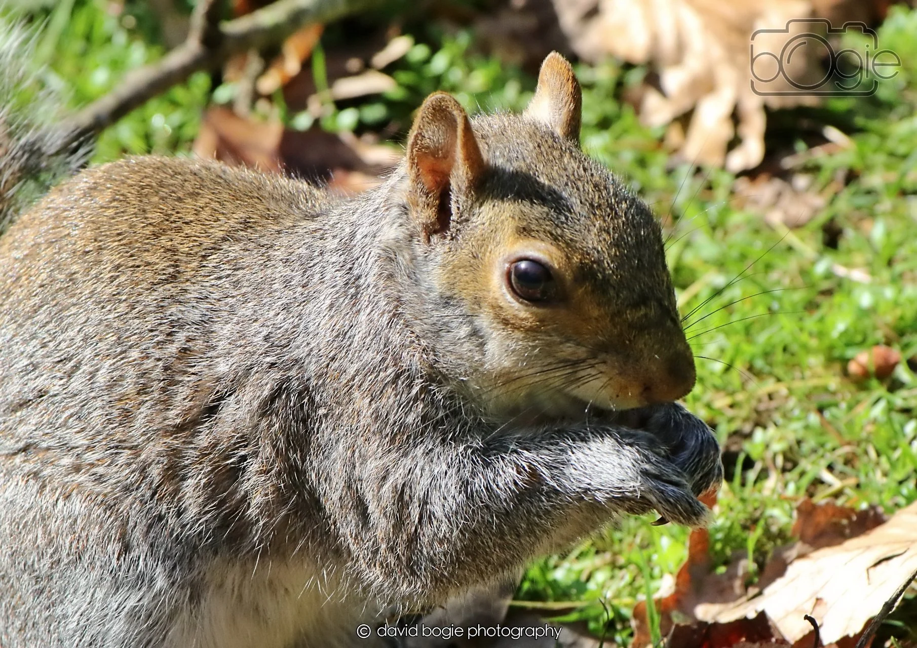 20260402 123547 Ravenscraig 0429.jpg