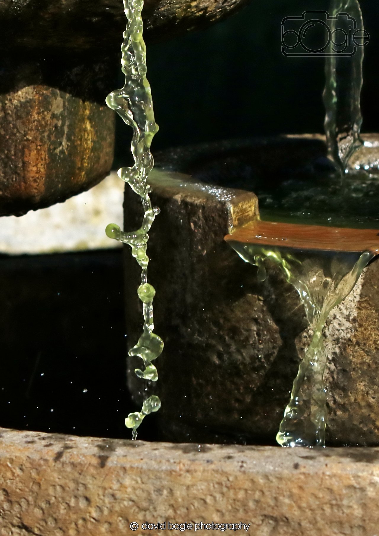 20260402 094551 Silverburn 0019.jpg