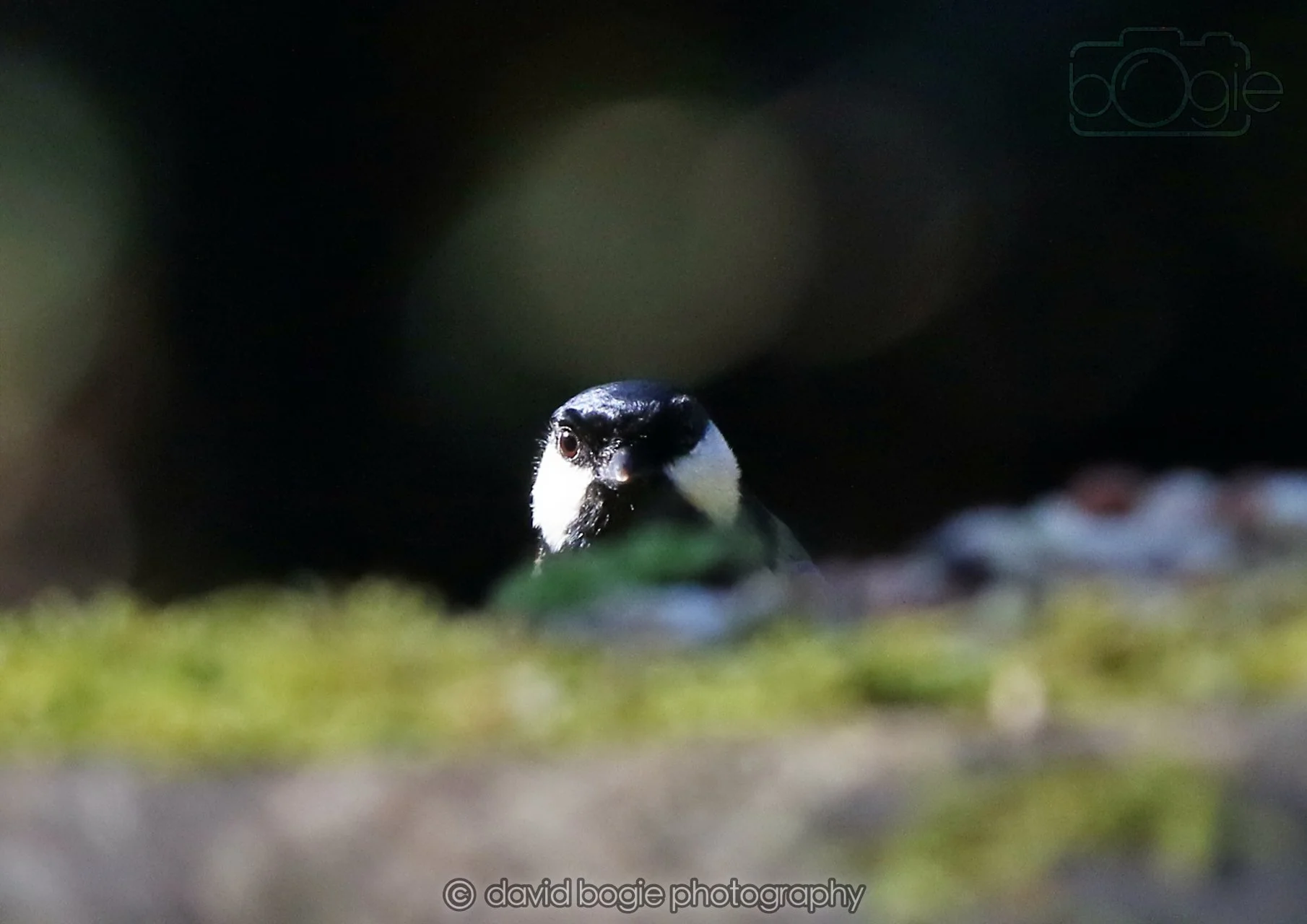 20260320 142048 Ravenscraig 0215.jpg