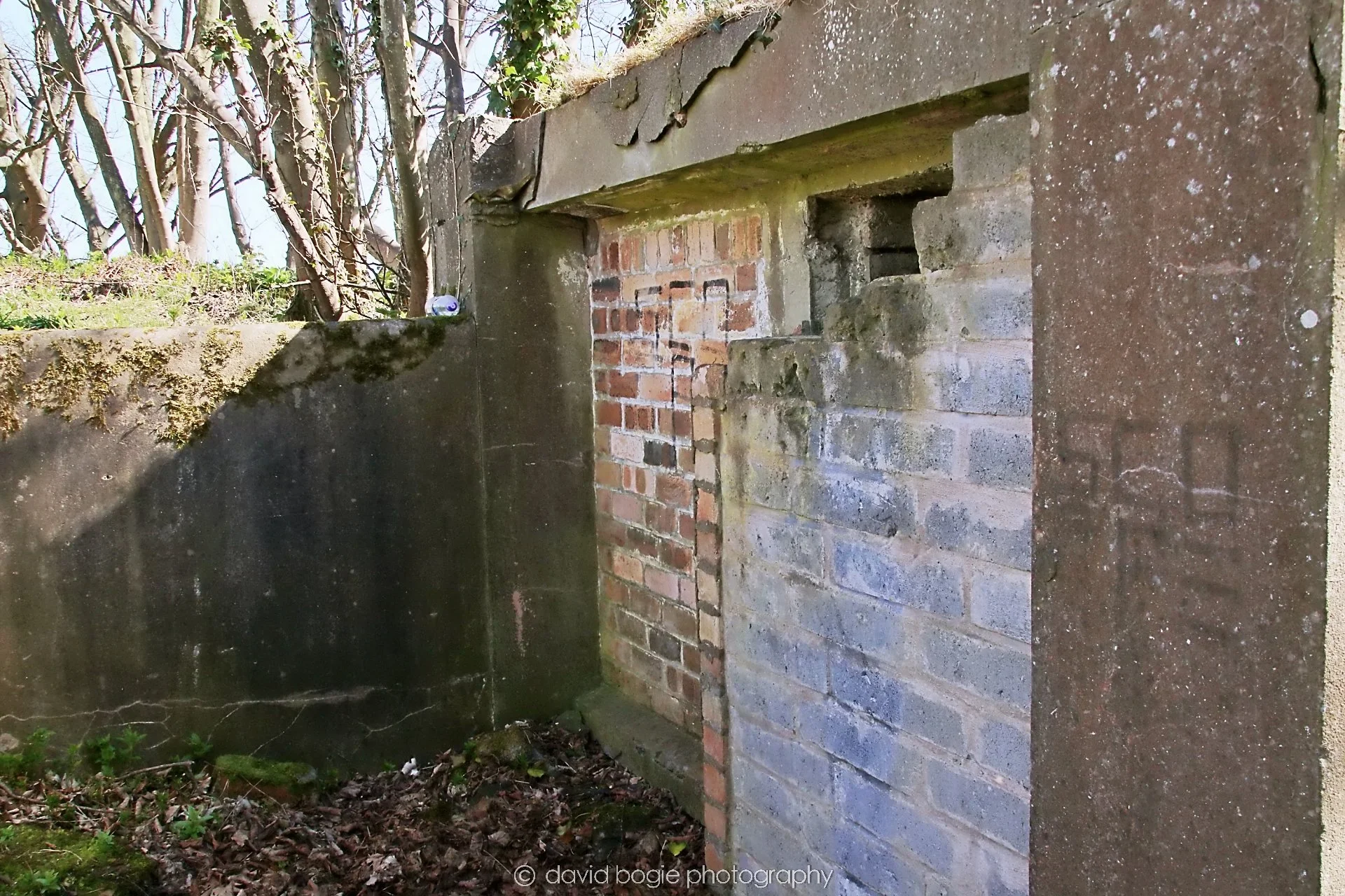 YEAR20250407 124041 Braefoot 7519.jpg