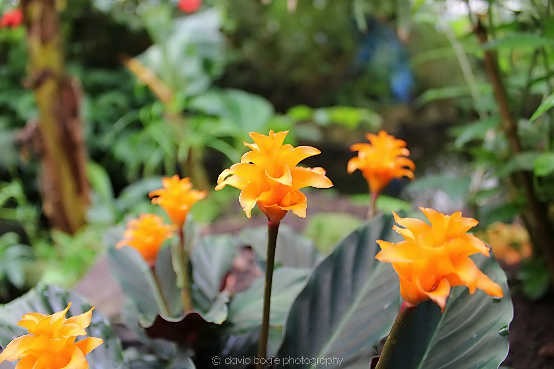 20191019 131317 Butterfly World 0041.jpg