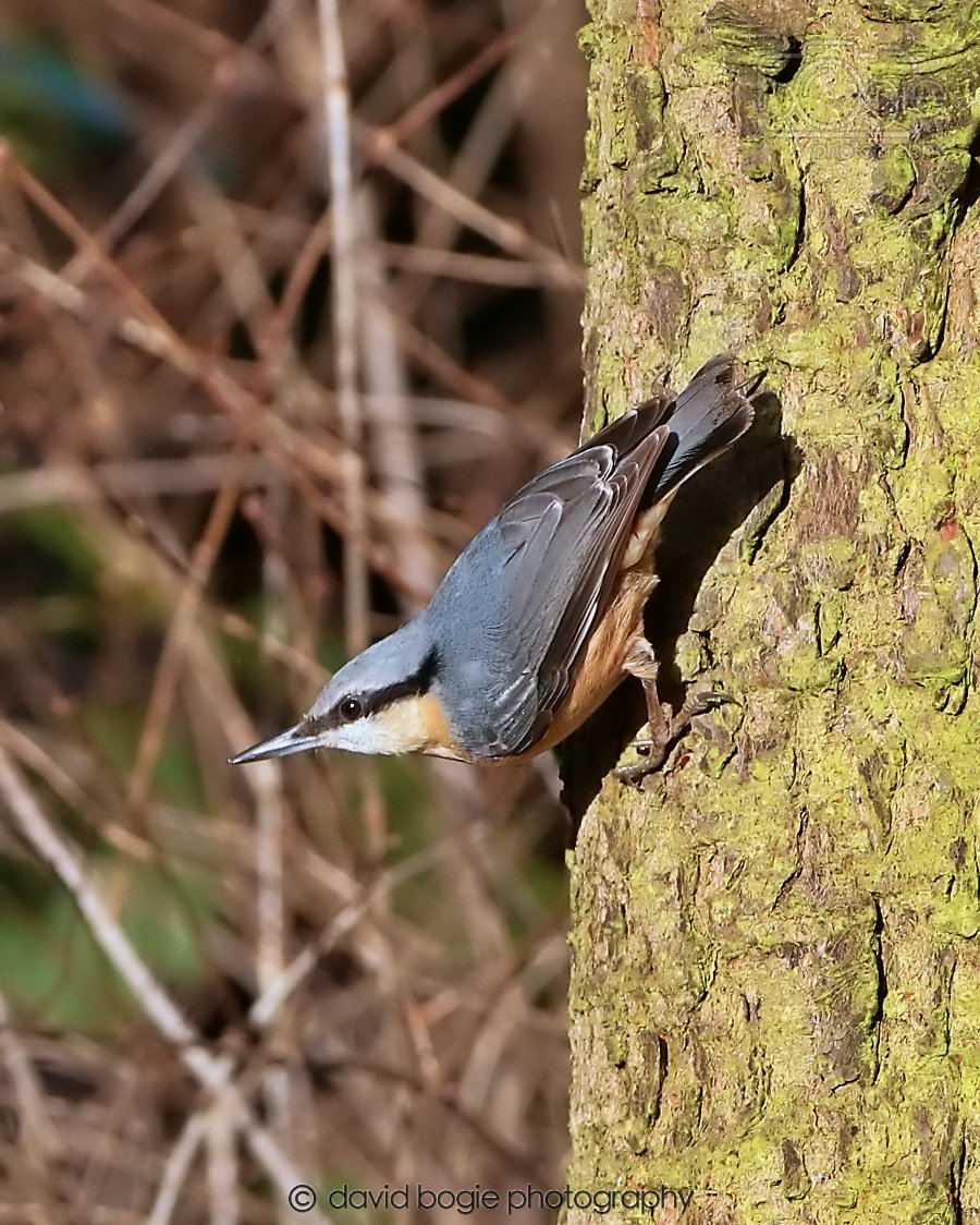 20260128 132707 Dunnikier 0186.jpg