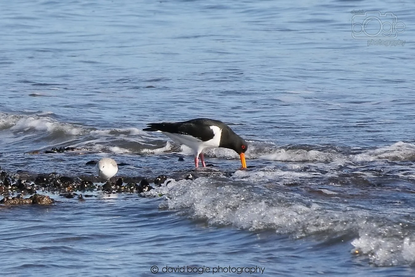 20260307 111003 Kirkcaldy 0029.jpg