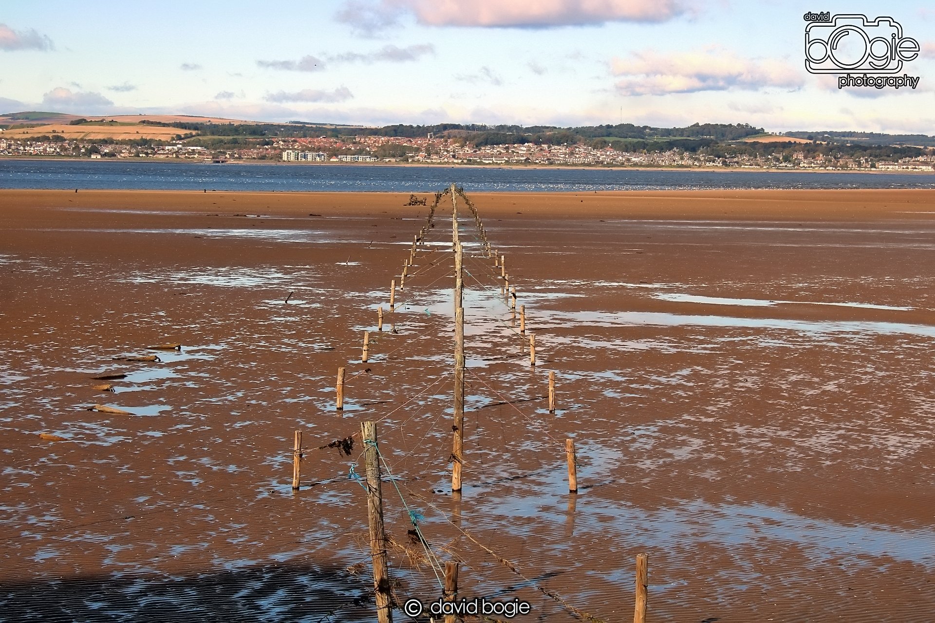 20191002 141755 Tentsmuir 0023.jpg