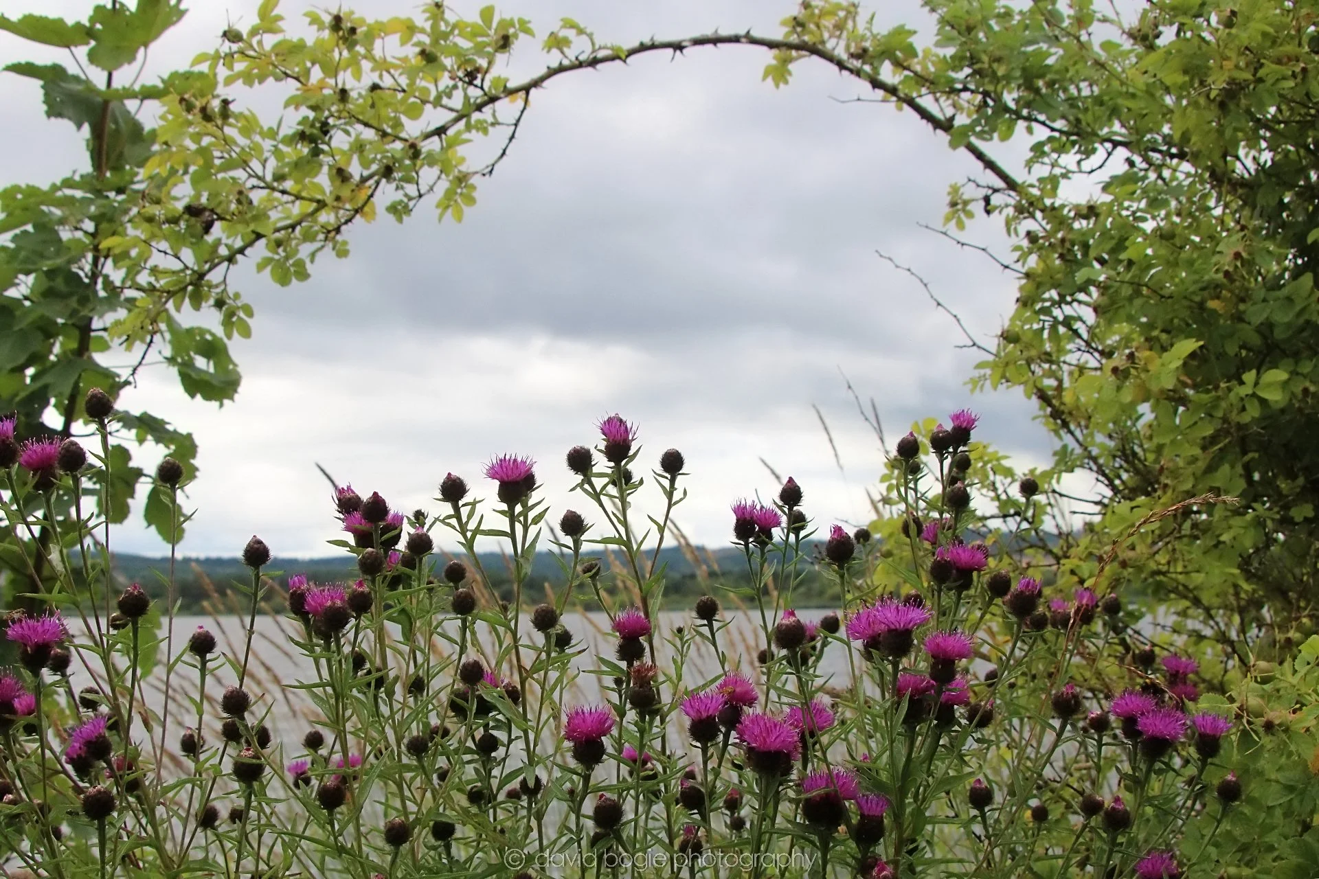 20210729 Lochore 7.jpg