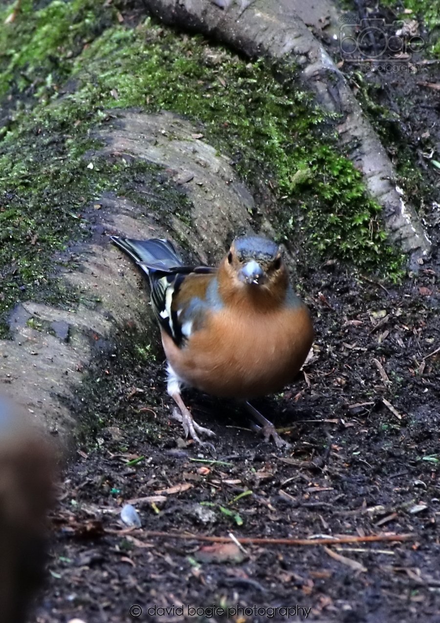 20260306 121859 Dunnikier 0623.jpg