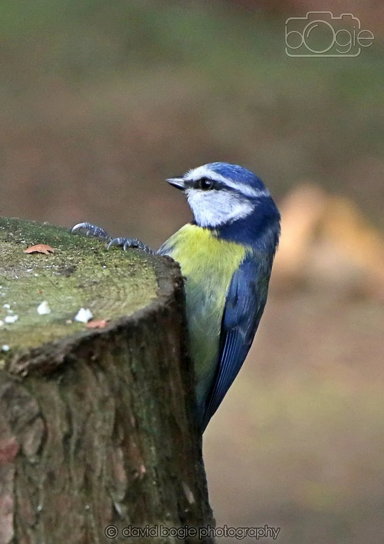 20260322 143827 Dunnikier 0055.jpg