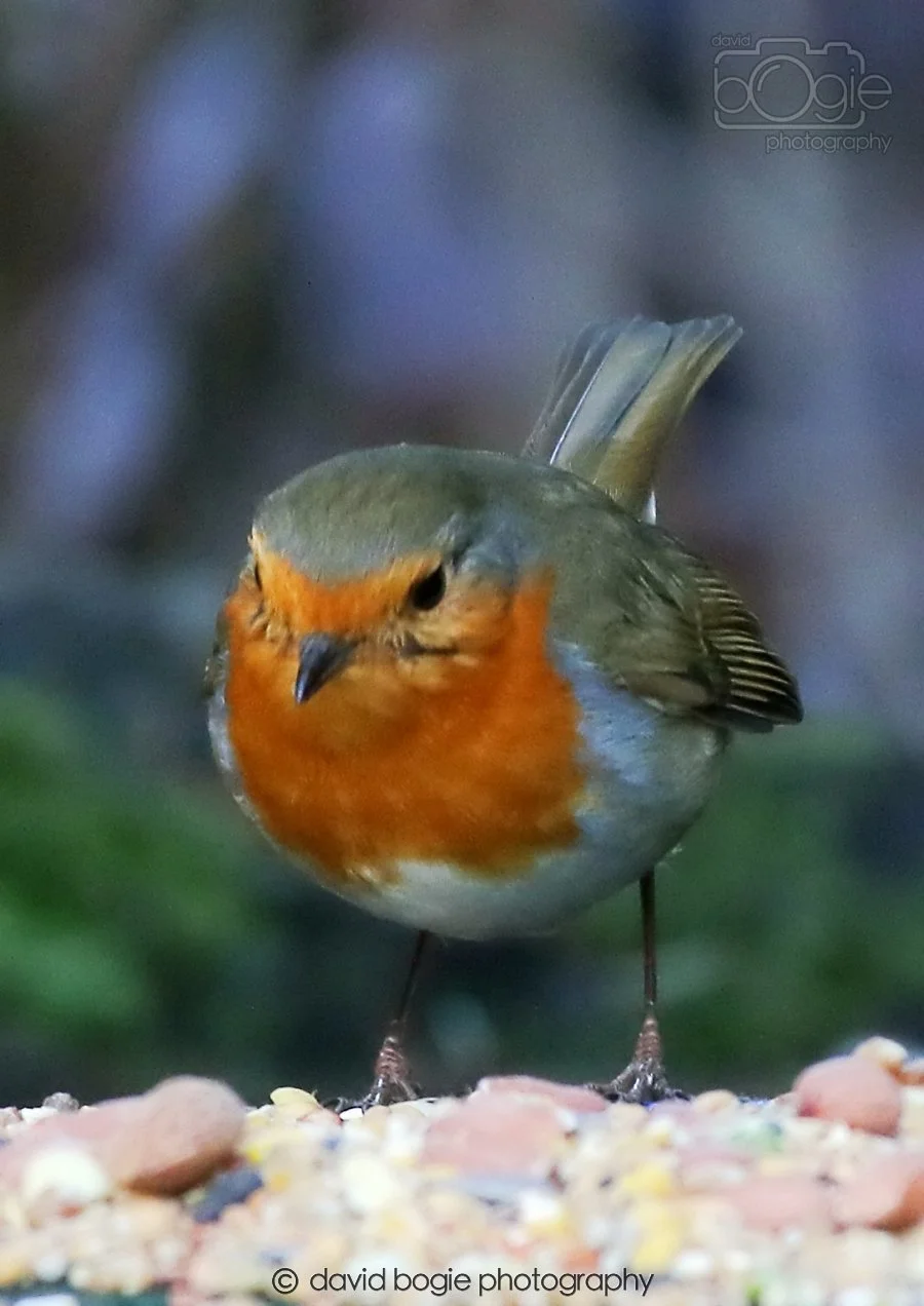 20260306 113811 Dunnikier 0193.jpg