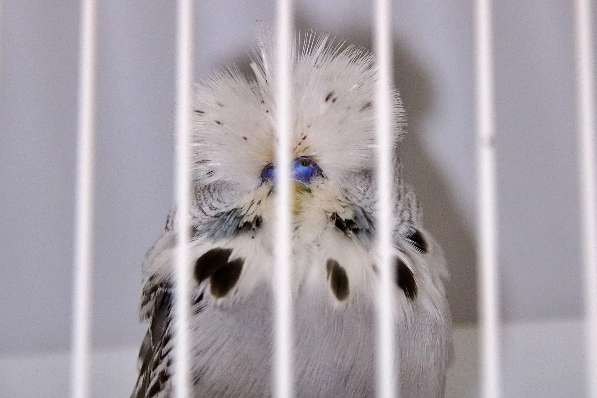 20241103 134013 MCBS Show 0620.JPG