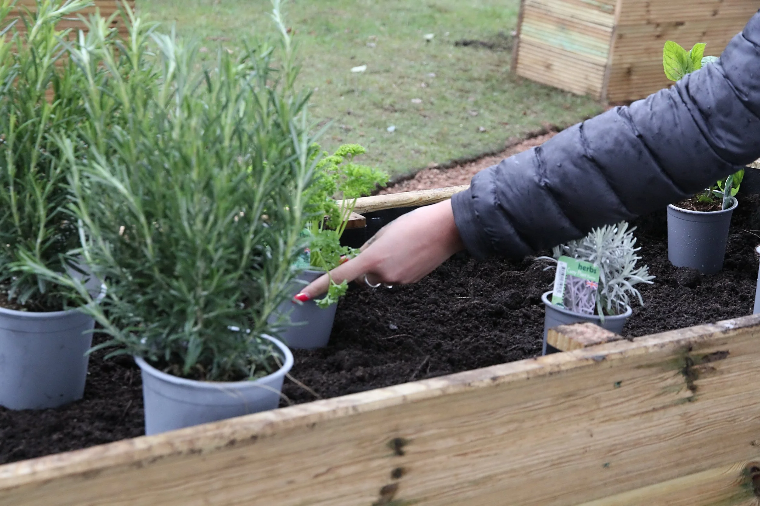 20260403 131718 Dunnikier Sensory Garden 0061.jpg